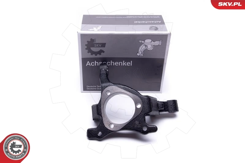 Steering Knuckle, wheel suspension